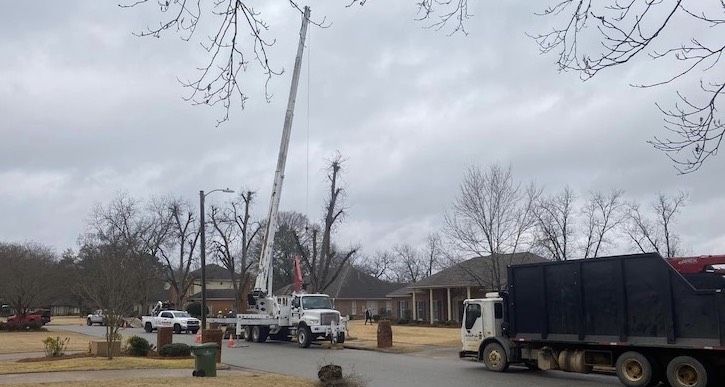 Tree Removal & Pruning | Arbor Pro Tree Service | Montgomery, AL - crane